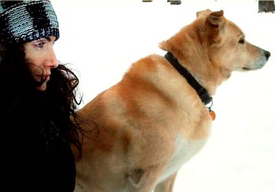 dog400.jpg