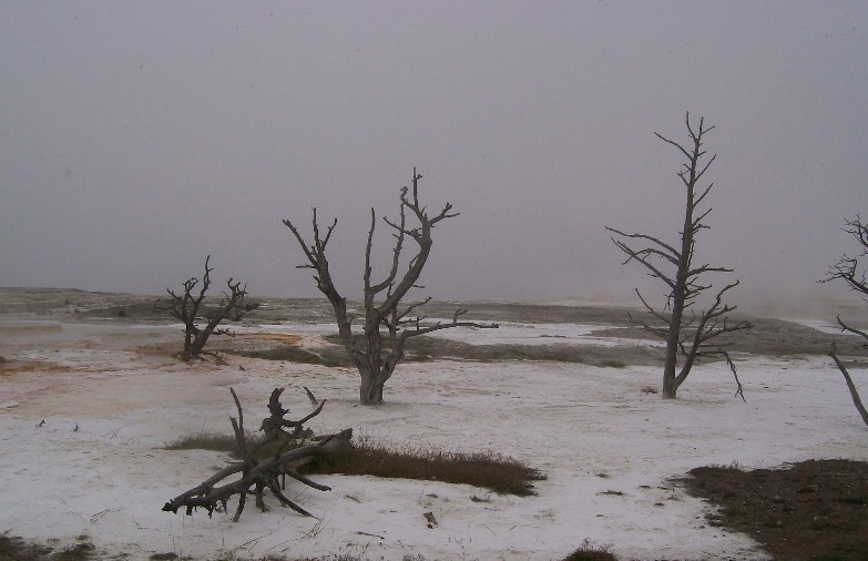 winter photo
