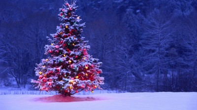 Smaller Christmas tree.jpg