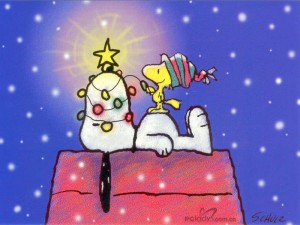 merry-christmas-snoopy-9066336-800-600-300x225.jpg