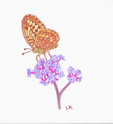 Butterfly by LisaLCFan.jpg
