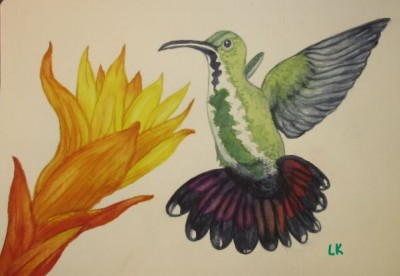 Lisa LCFan Watercolour March 2020.jpg