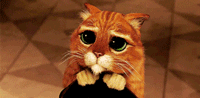 pretty-please.gif