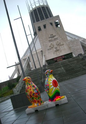 p1.jpg