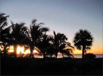 New Years Day Sanibel Island. FL.JPG