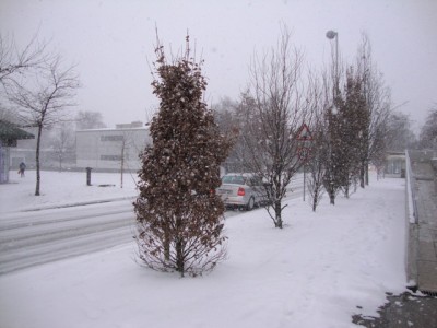 Zagreb 10 March 2010.jpg