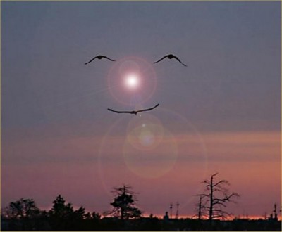 sun.jpg